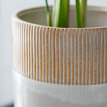 Load image into Gallery viewer, Linear Pattern Plant Pots - *Local Delivery or Local Pick Up Only*
