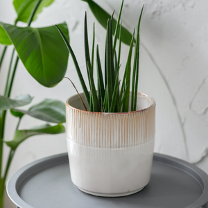 Linear Pattern Plant Pots - *Local Delivery or Local Pick Up Only*