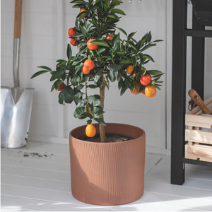 Stoneware Linear Plant Pots - *Local Delivery or Local Pick Up Only*