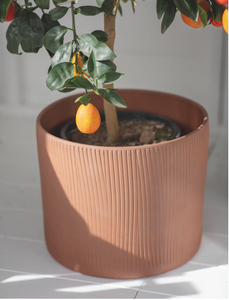 Stoneware Linear Plant Pots - *Local Delivery or Local Pick Up Only*