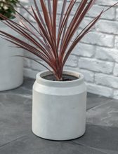 Load image into Gallery viewer, Light Grey Fibre Clay Planter - *Local Delivery or Local Pick Up Only*
