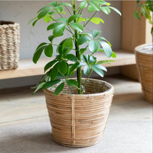Load image into Gallery viewer, Rattan Plant Pot
