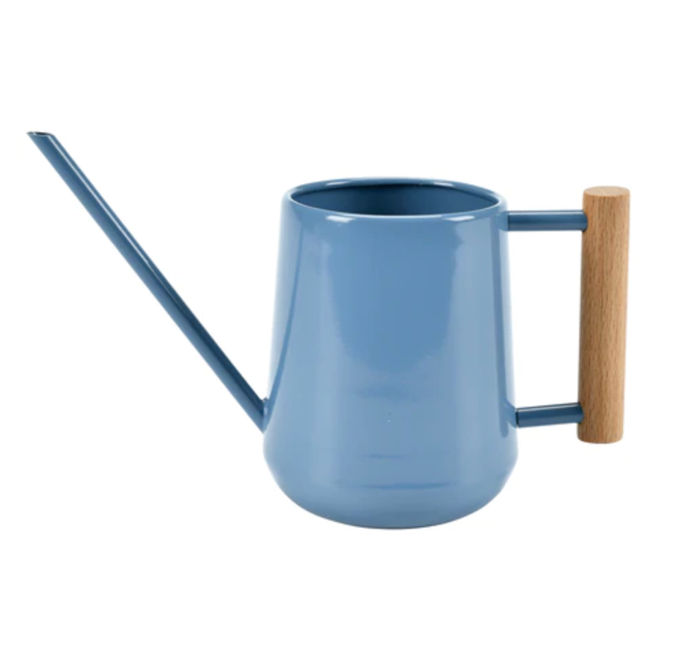 Blue Watering Can