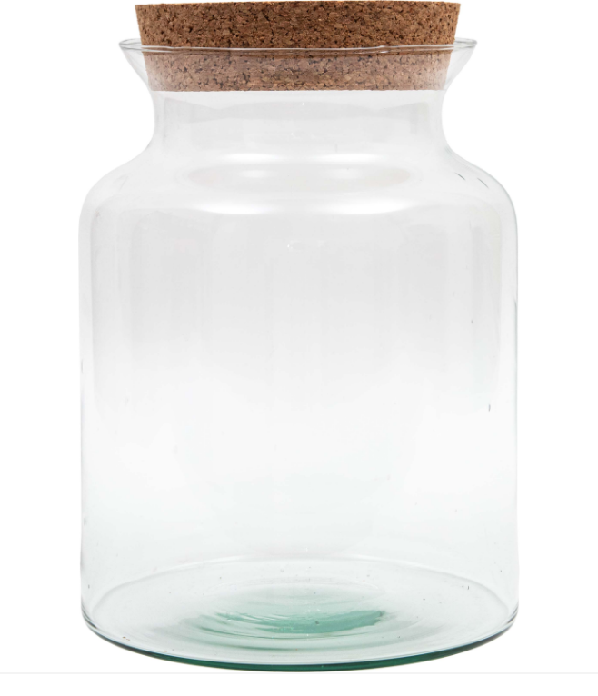 Tall Sealed Terrarium With Cork Lid - *Local Delivery or Local Pick Up Only*