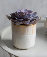 Load image into Gallery viewer, Linear Pattern Plant Pots - *Local Delivery or Local Pick Up Only*

