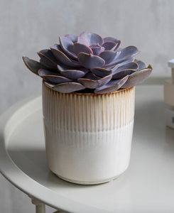 Linear Pattern Plant Pots - *Local Delivery or Local Pick Up Only*
