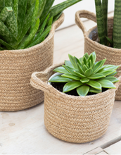 Load image into Gallery viewer, Natural Woven Basket Plant Pots
