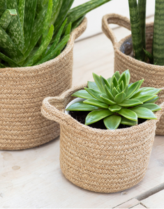 Natural Woven Basket Plant Pots