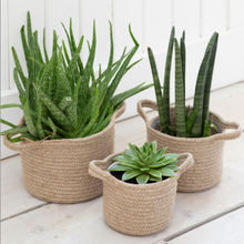 Load image into Gallery viewer, Natural Woven Basket Plant Pots
