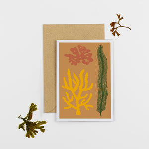 Studio Wald Seaweed Greetings Card