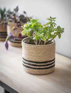 Striped Basket Plant Pot