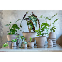 Load image into Gallery viewer, Julie Grey Plant Pots - *Local Delivery or Local Pick Up Only*
