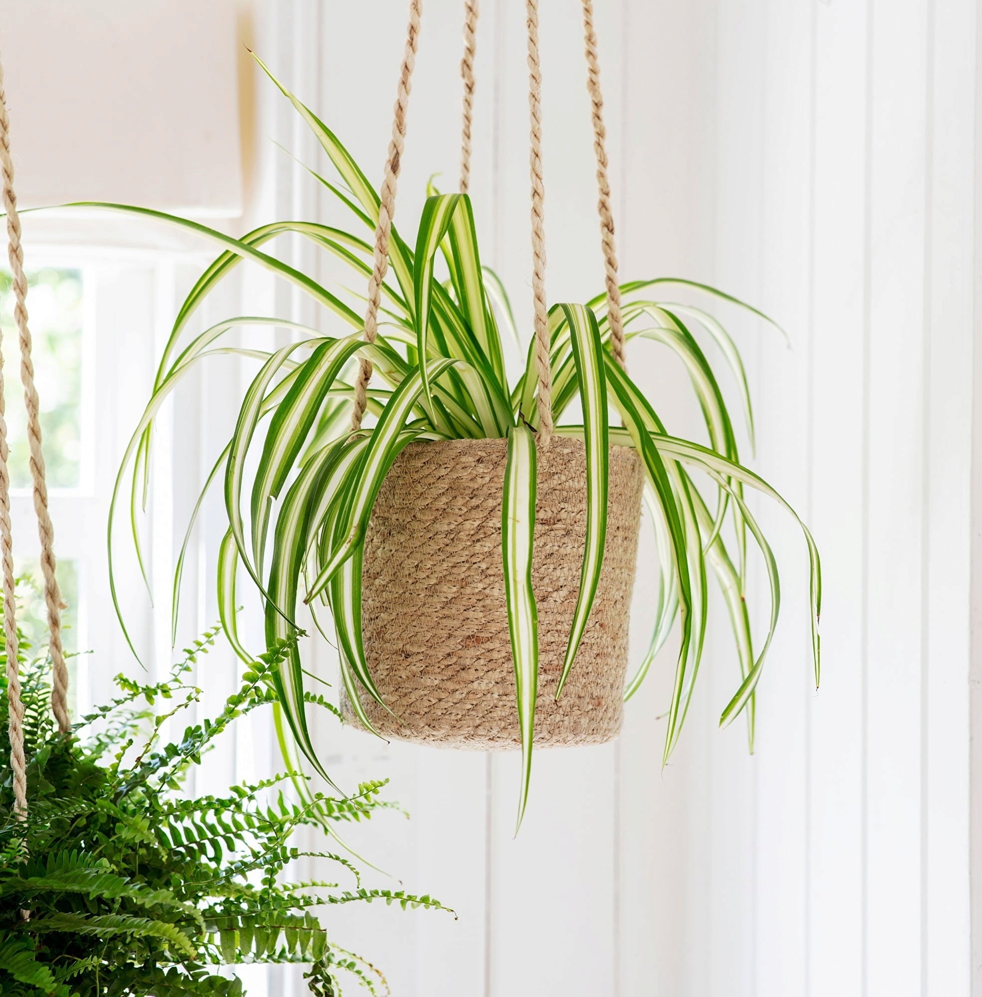 jute hanging plant pot Hanging Plant Pot In Jute