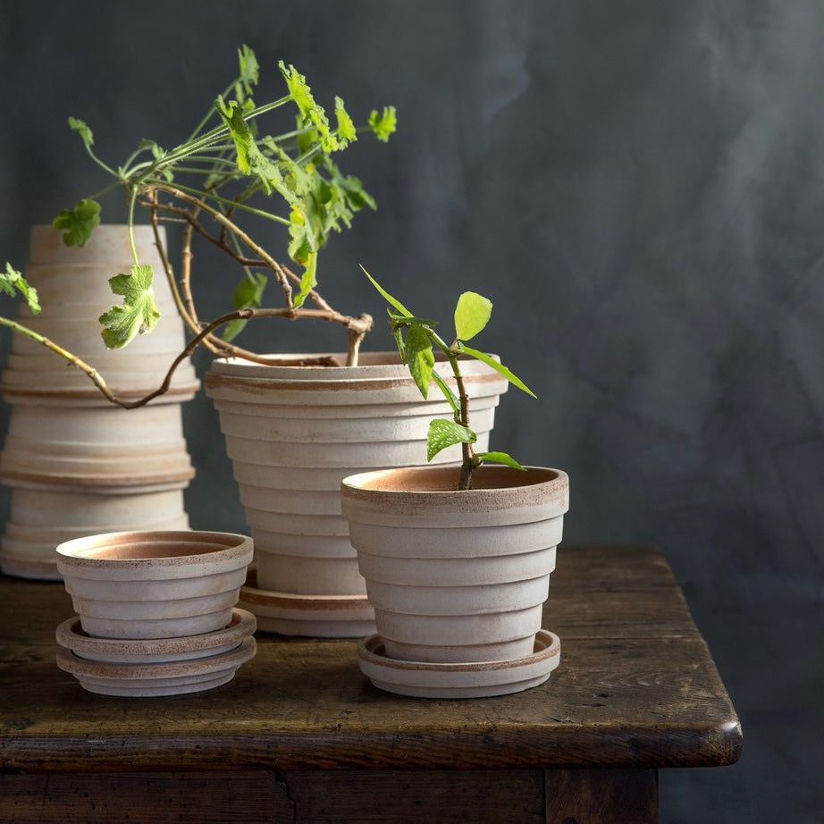 The Planet Collection Rose Plant Pots - *Local Delivery or Local Pick Up Only*