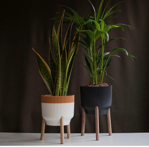 3D Printed PLA Planters With Oak Legs