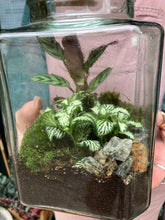 Load image into Gallery viewer, Rectangular Jar Sealed Terrarium - *Local Delivery or Local Pick Up Only*
