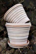 Load image into Gallery viewer, The Planet Collection Rose Plant Pots - *Local Delivery or Local Pick Up Only*
