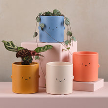 Load image into Gallery viewer, Colourful Ceramic Face Plant Pots

