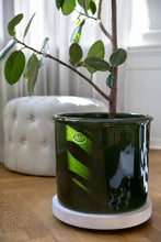 Load image into Gallery viewer, Modena Green Glazed Plant Pots - *Local Delivery or Local Pick Up Only*

