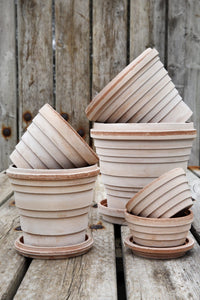 The Planet Collection Rose Plant Pots - *Local Delivery or Local Pick Up Only*
