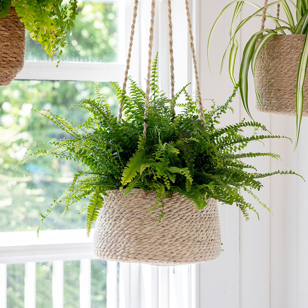 large hanging plant pots indoor Large Tapered Hanging Plant Pot In Jute